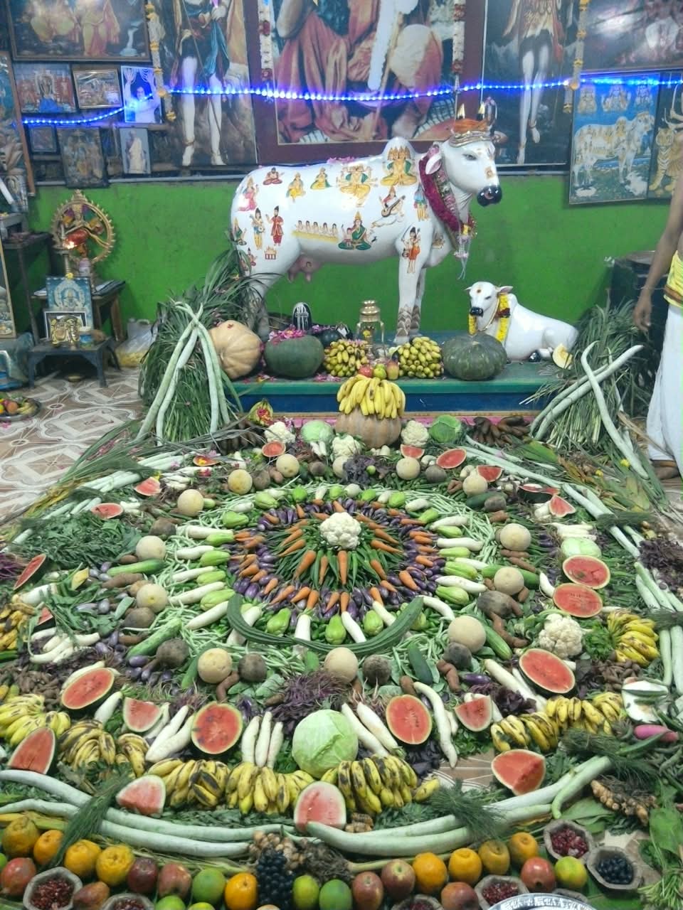 Vedashrama Gurukulam photo 23